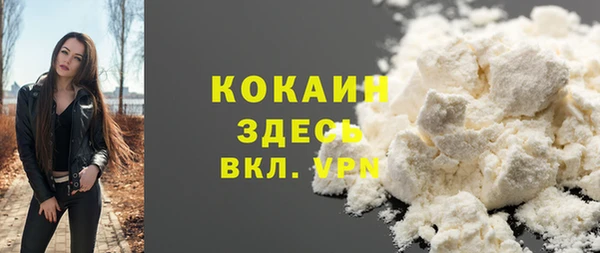 ПСИЛОЦИБИНОВЫЕ ГРИБЫ Осинники