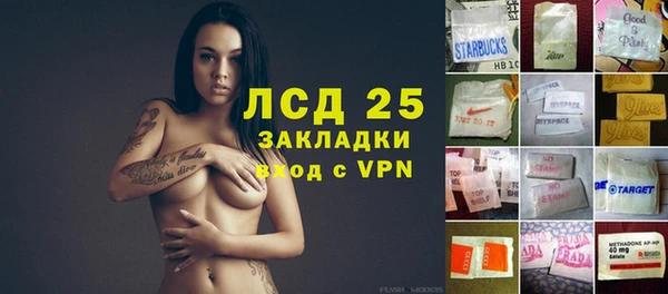 ПСИЛОЦИБИНОВЫЕ ГРИБЫ Осинники