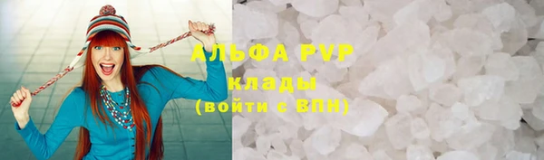 ПСИЛОЦИБИНОВЫЕ ГРИБЫ Осинники