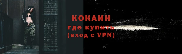 ПСИЛОЦИБИНОВЫЕ ГРИБЫ Осинники