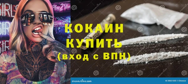ПСИЛОЦИБИНОВЫЕ ГРИБЫ Осинники