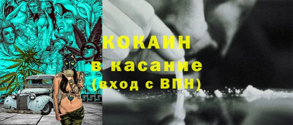 ПСИЛОЦИБИНОВЫЕ ГРИБЫ Осинники