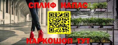 бошки Кимры
