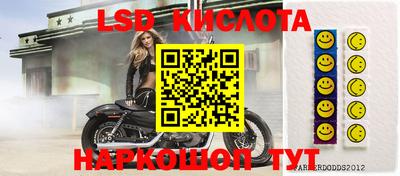 бошки Кимры