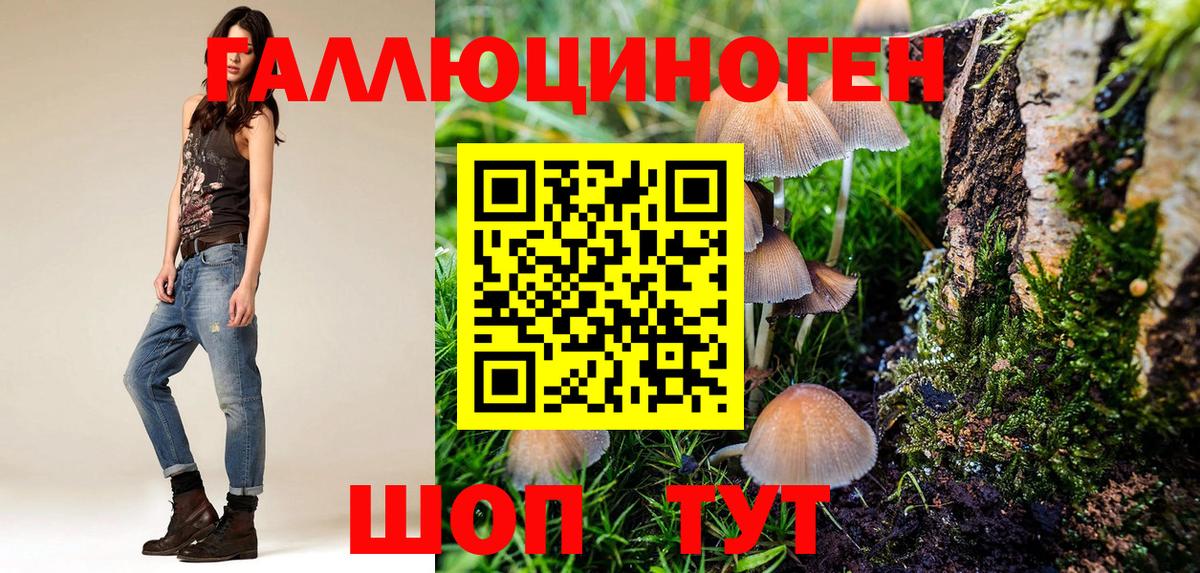 Галлюциногенные грибы GOLDEN TEACHER Унеча