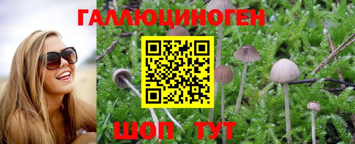 Псилоцибиновые грибы Psilocybe  Вход с VPN  Галлюциногенные грибы ЛСД  Унеча 